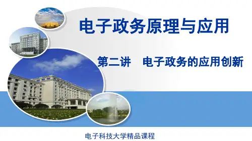 电子政务应用模式