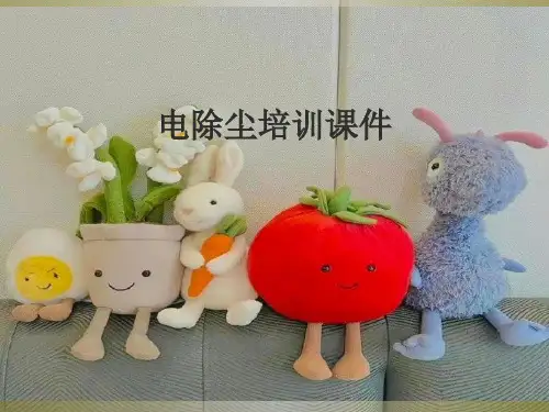 电除尘培训课件