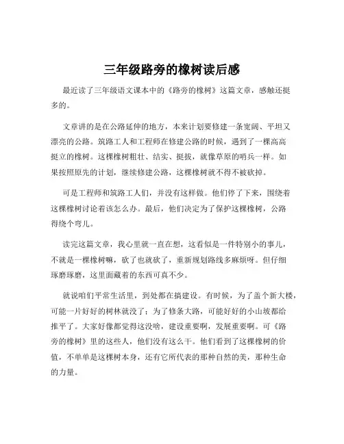 三年级路旁的橡树读后感