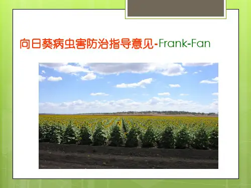 (完整版)向日葵高产栽培技术