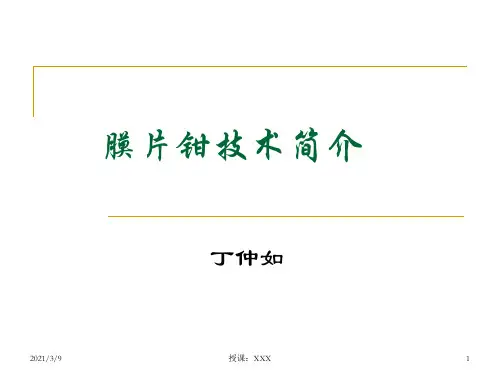膜片钳讲课PPT课件