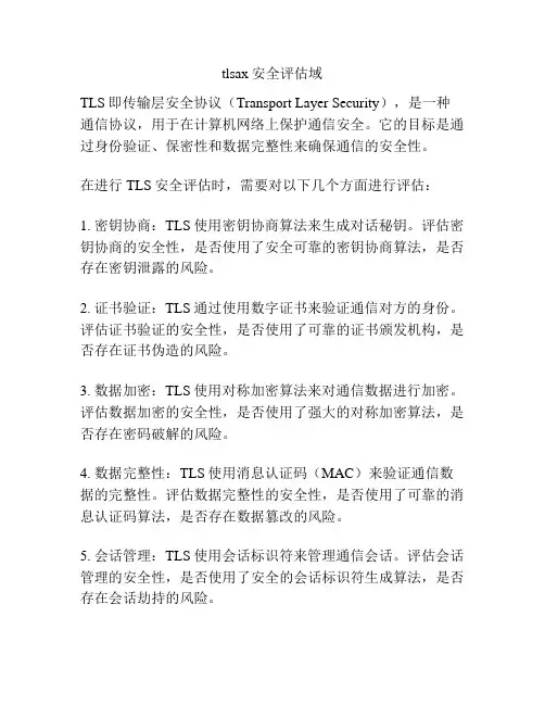 tlsax安全评估域