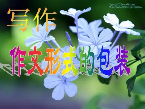 作文形式的创新(含题记)
