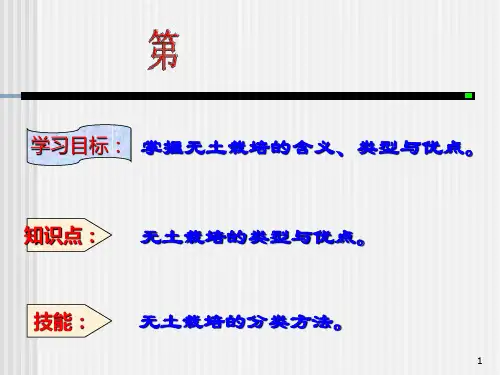 无土栽培技术概述PPT课件