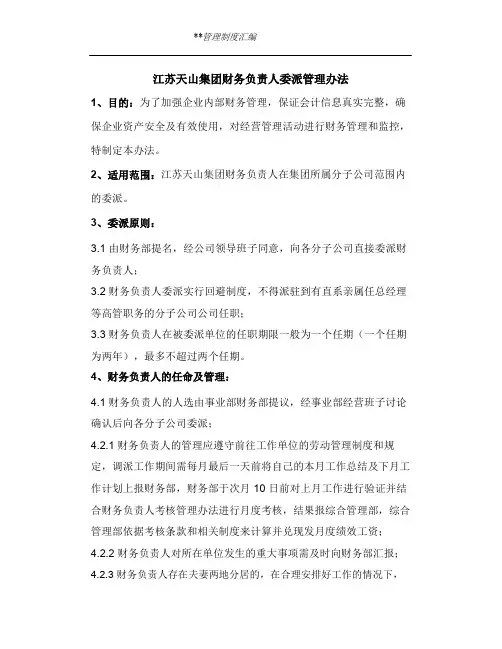 江苏天山集团财务负责人委派管理办法