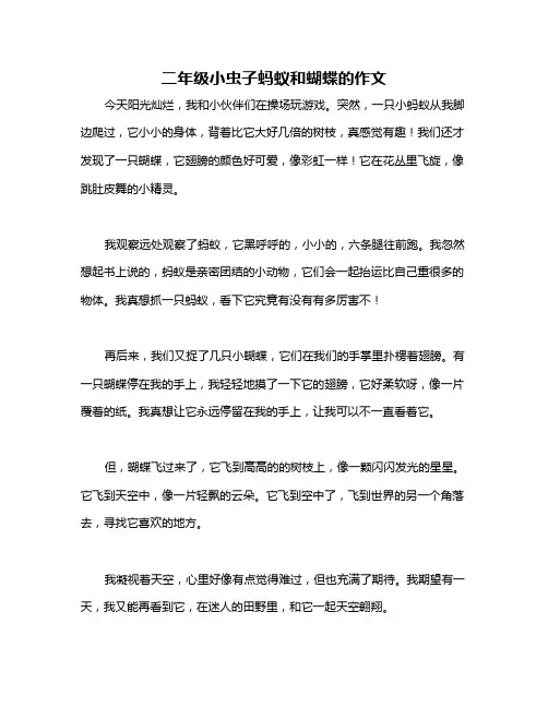 二年级小虫子蚂蚁和蝴蝶的作文