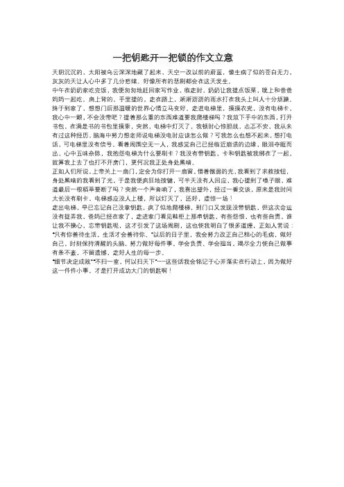 一把钥匙开一把锁的作文立意