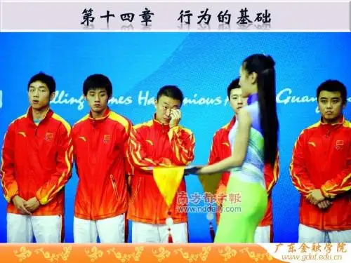 管理学第十四章