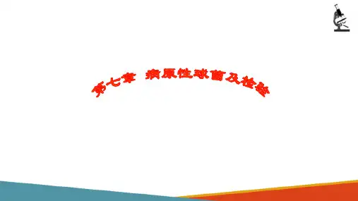 临床常见病原菌检验—需氧G+球菌检验(微生物检验课件)