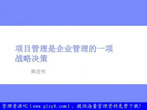 项目管理是企业管理的一项战略决策解析