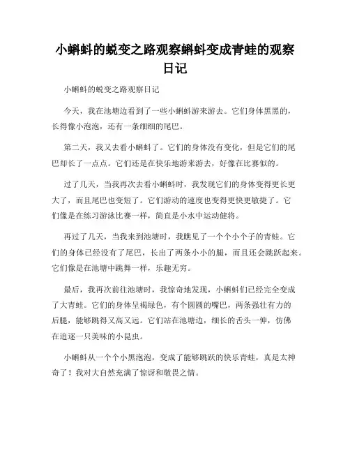 小学三年级作文小蝌蚪的蜕变之路观察蝌蚪变成青蛙的观察日记