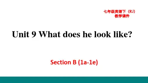 新目标(人教)七年级下册英语教学课件 Unit 9  Section B (1a-1e)