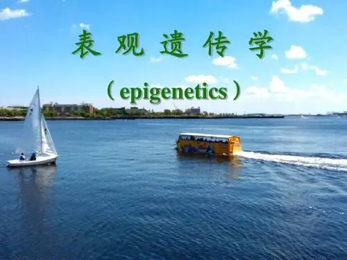 12表观遗传学