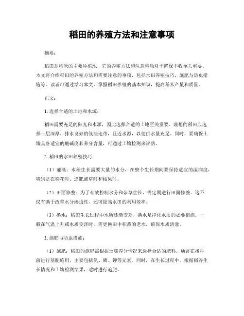 稻田的养殖方法和注意事项