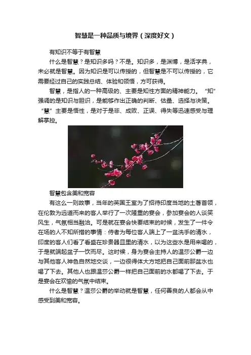 智慧是一种品质与境界（深度好文）