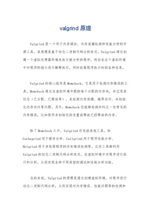 valgrind 原理