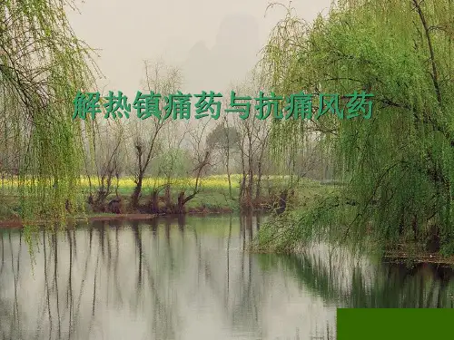 解热镇痛药PPT课件