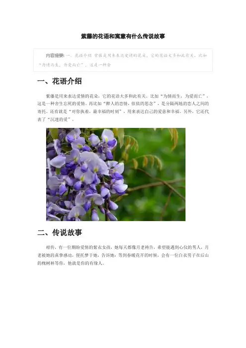 紫藤的花语和寓意有什么传说故事