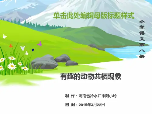 《有趣的动物共栖现象》优秀课件PPT