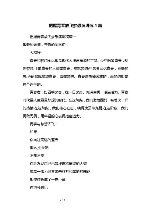 把握青春放飞梦想演讲稿4篇