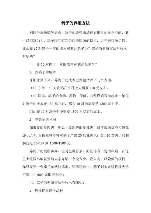 鸽子的养殖方法