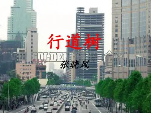 行道树PPT课件113 人教版 (共16张PPT)