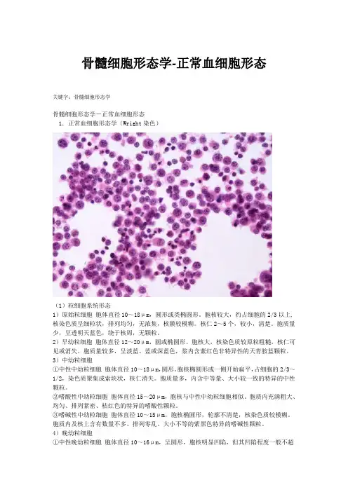骨髓细胞形态学-正常血细胞形态