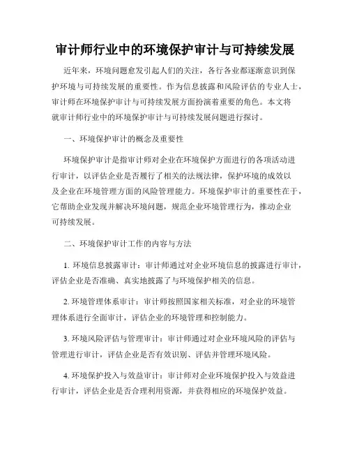 审计师行业中的环境保护审计与可持续发展