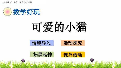最新北师大版数学六年级下册《数学好玩可爱的小猫》名师教学课件
