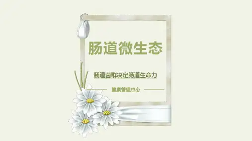 肠道微生态