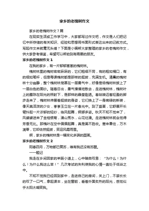 家乡的老槐树作文7篇