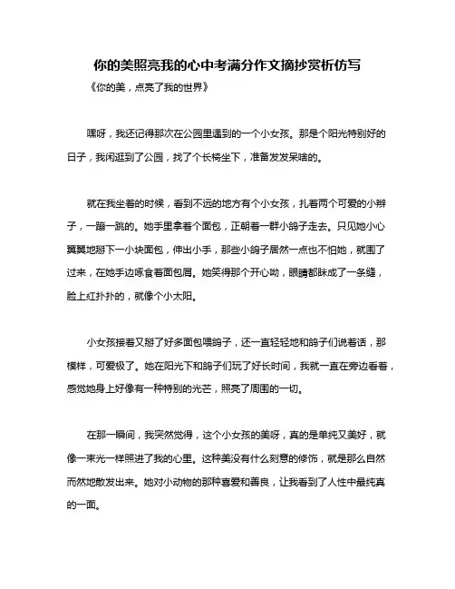 你的美照亮我的心中考满分作文摘抄赏析仿写