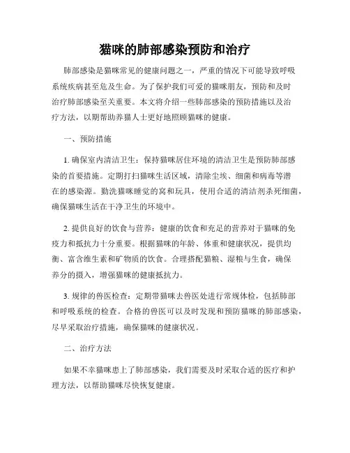猫咪的肺部感染预防和治疗
