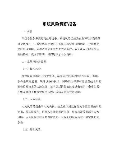 系统风险调研报告