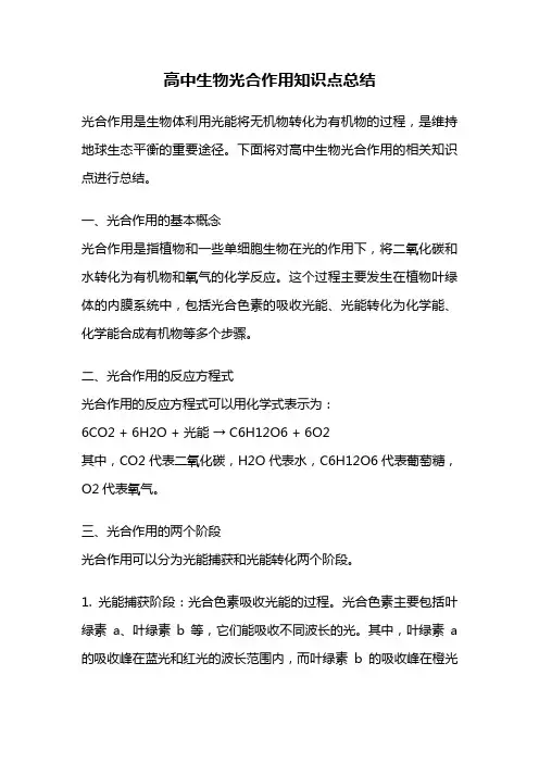 高中生物光合作用知识点总结