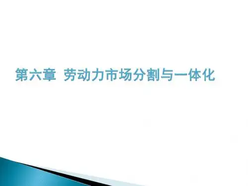 第六章 劳动力市场分割与一体化