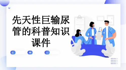 先天性巨输尿管的科普知识课件