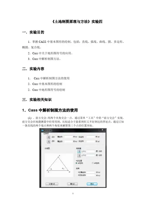 2010年cass实验4