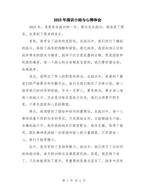 2023年战训小结与心得体会