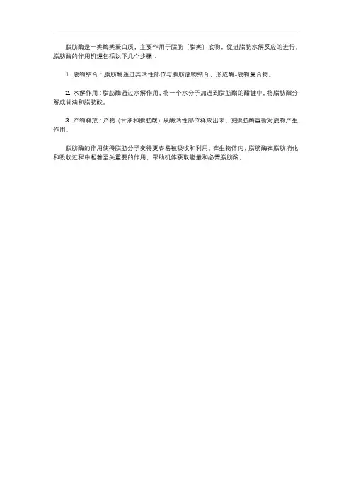 脂肪酶的作用机理