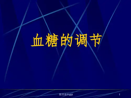 《血糖的调节》PPT课件