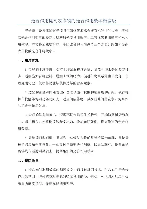 光合作用提高农作物的光合作用效率精编版