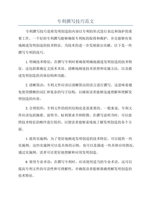 专利撰写技巧范文