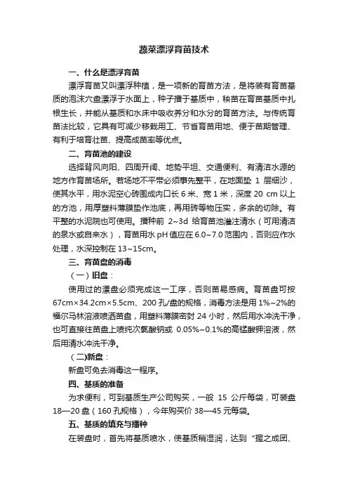 蔬菜漂浮育苗技术