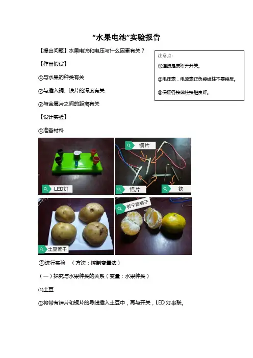 “水果电池”实验报告(1)