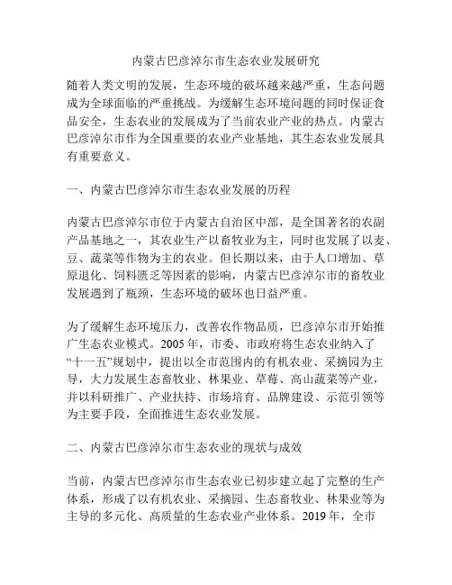 内蒙古巴彦淖尔市生态农业发展研究