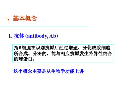 抗体(免疫学概论)