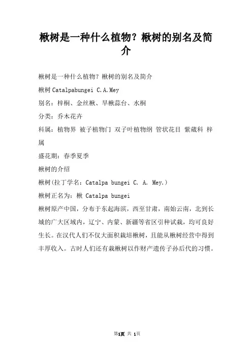 楸树是一种什么植物？楸树的别名及简介