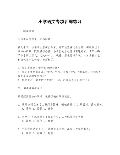 小学语文专项训练练习