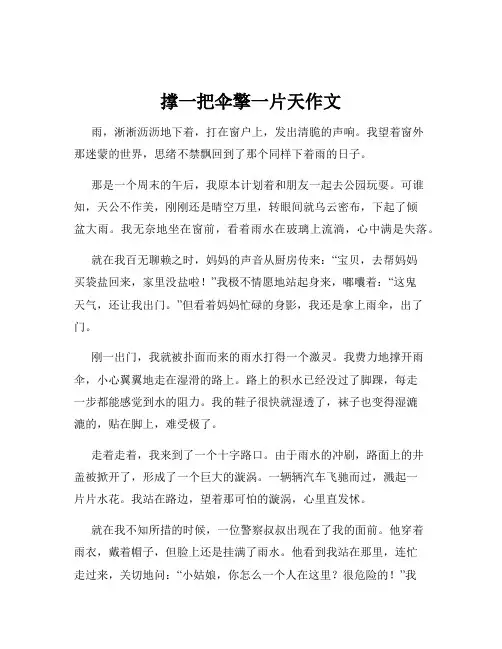 撑一把伞擎一片天作文